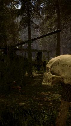 Sons of the Forest game cover