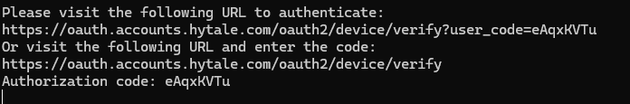 Terminal showing the authentication URL and authorization code