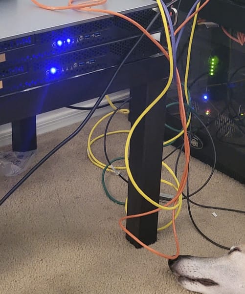 messy-cables-servers-greyhound-dog-laying-on-floor
